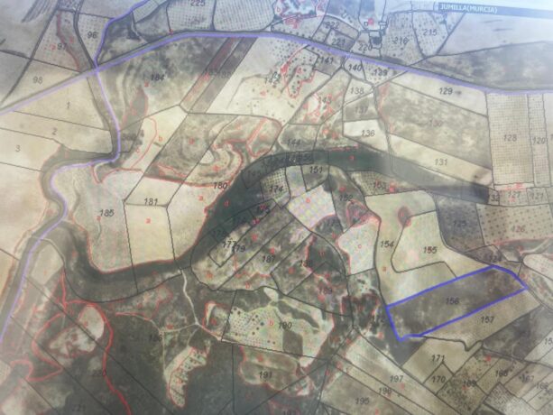 property image #4