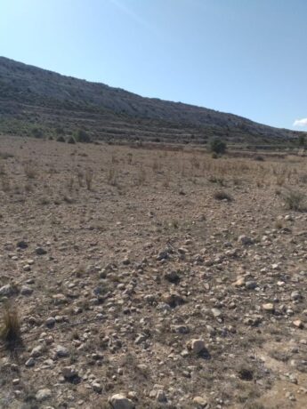 property image #1