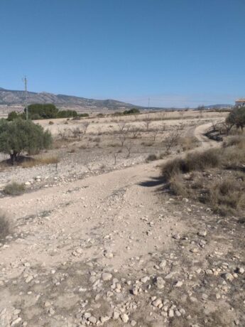 property image #2