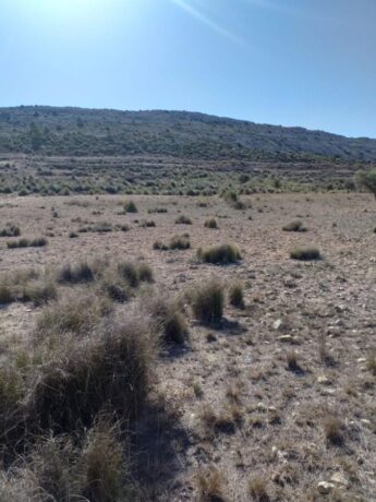 property image #3