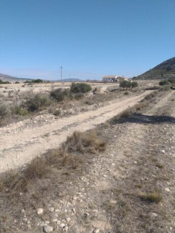 property image #4