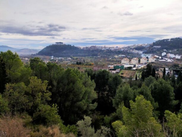 property image #2