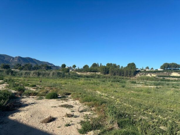 property image #1