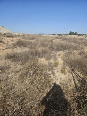 property image #2