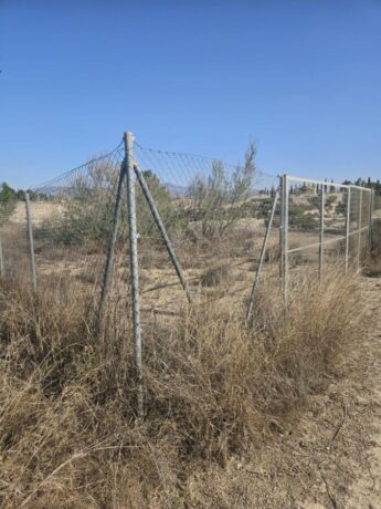 property image #4