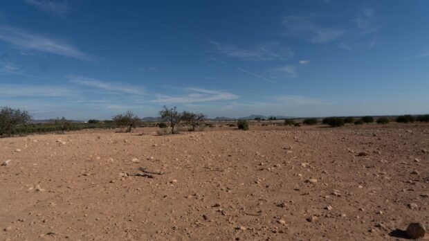 property image #4