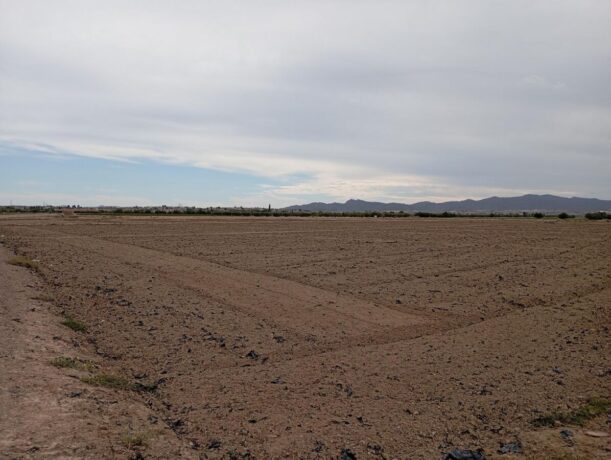 property image #0