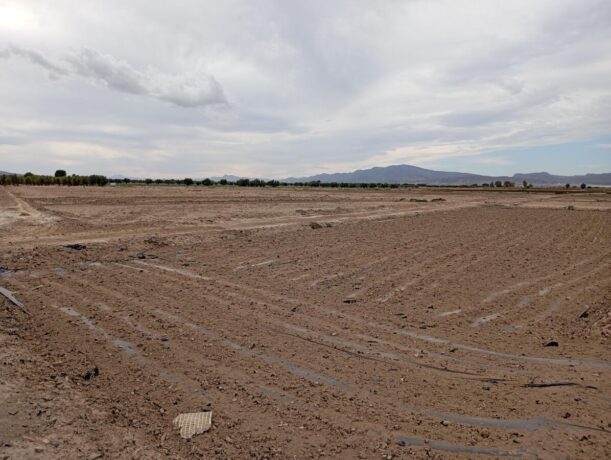 property image #1