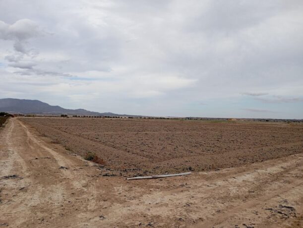 property image #3