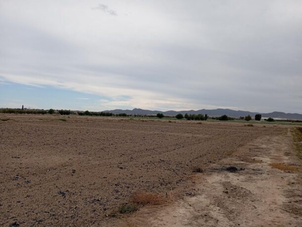 property image #4