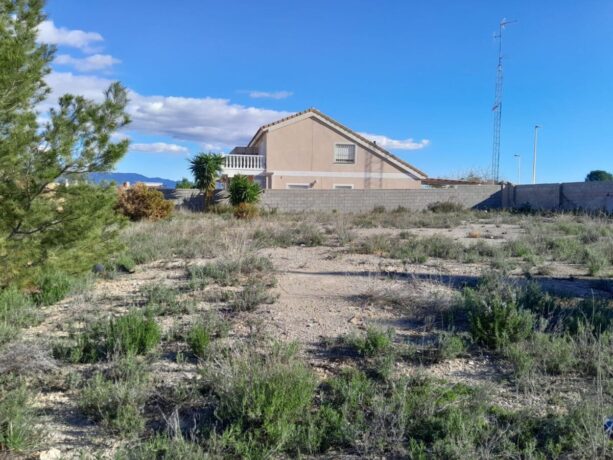 property image #0