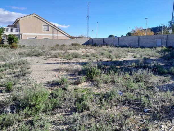 property image #2