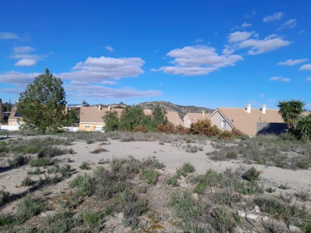 property image #3