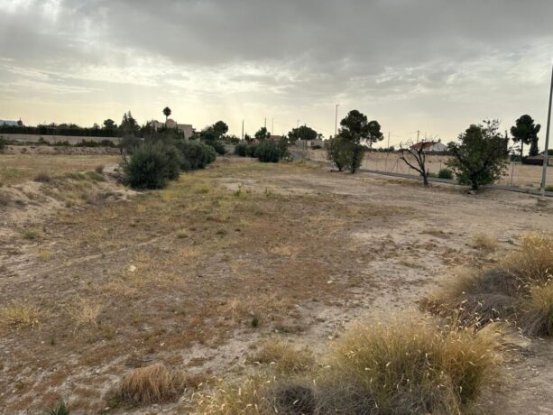property image #3
