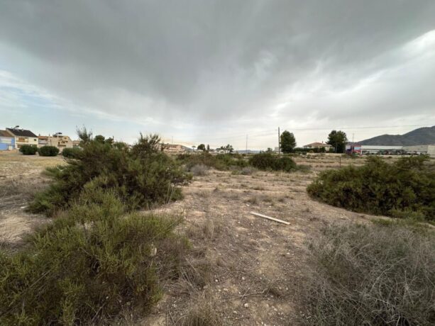 property image #4