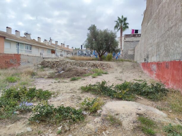 property image #4