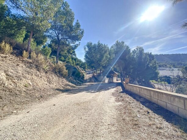 property image #4