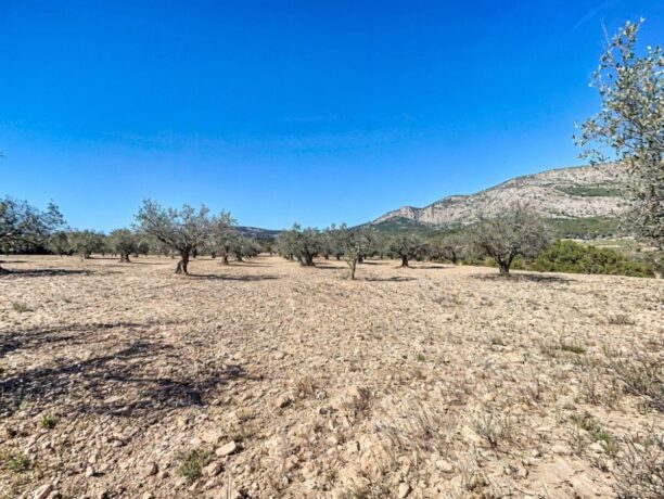 property image #1