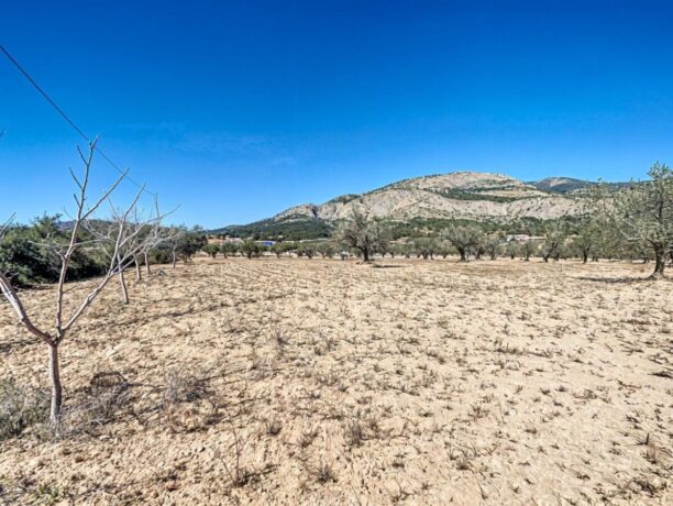 property image #2