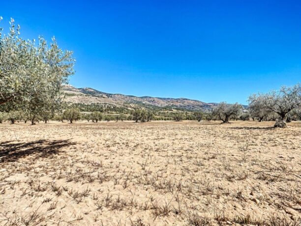 property image #3