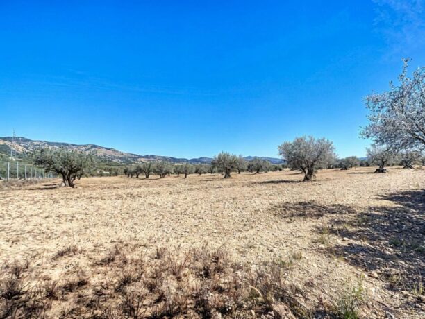 property image #4