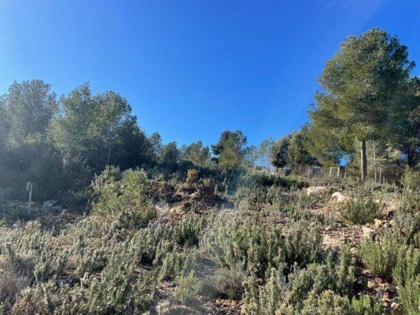 property image #2