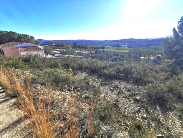 property image #0