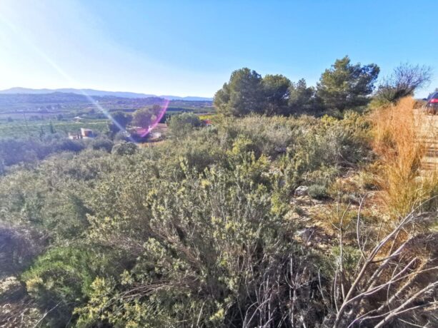 property image #1