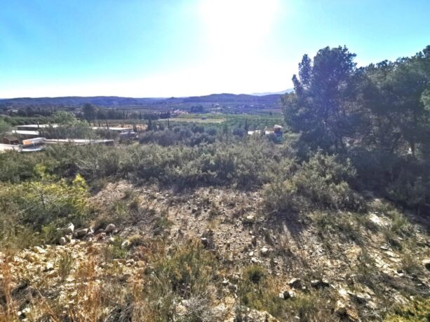 property image #4
