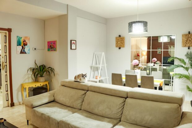 property image #4