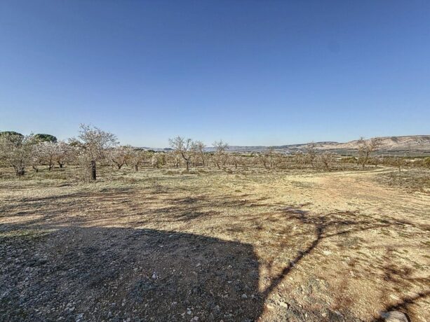 property image #0