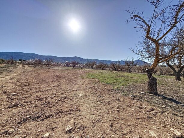 property image #1