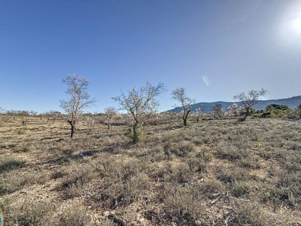property image #2