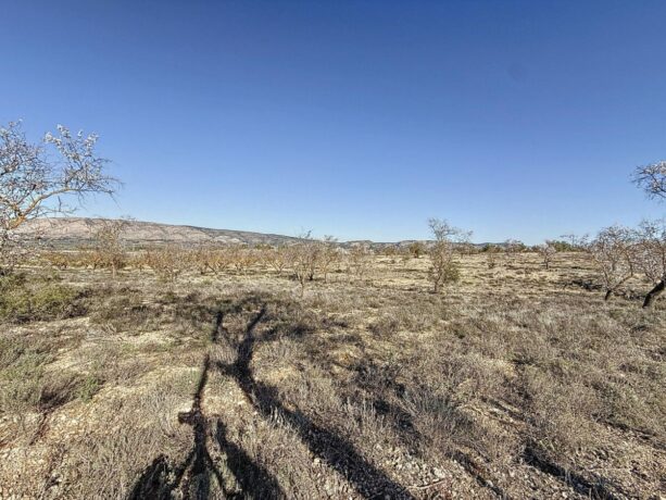 property image #3