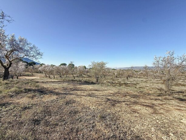 property image #4