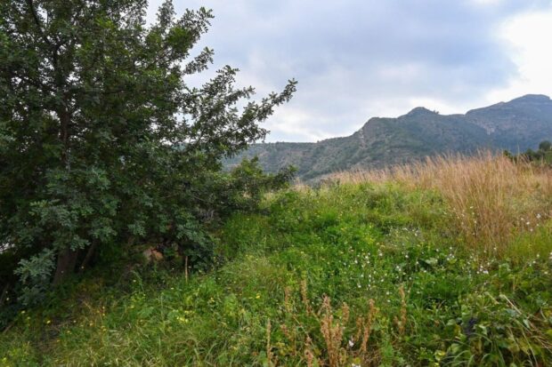 property image #4