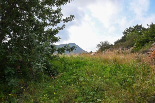 property image #0