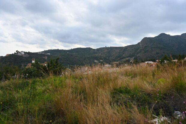 property image #3