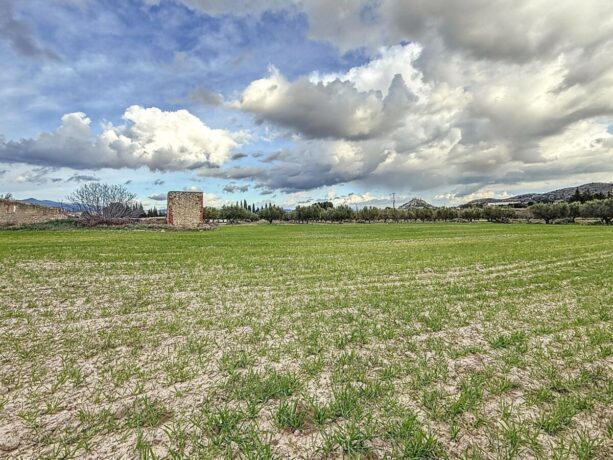 property image #0