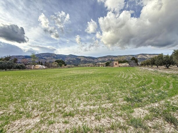 property image #2