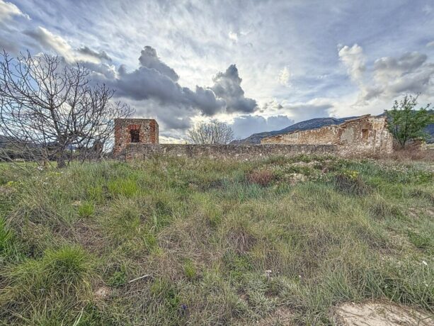 property image #3