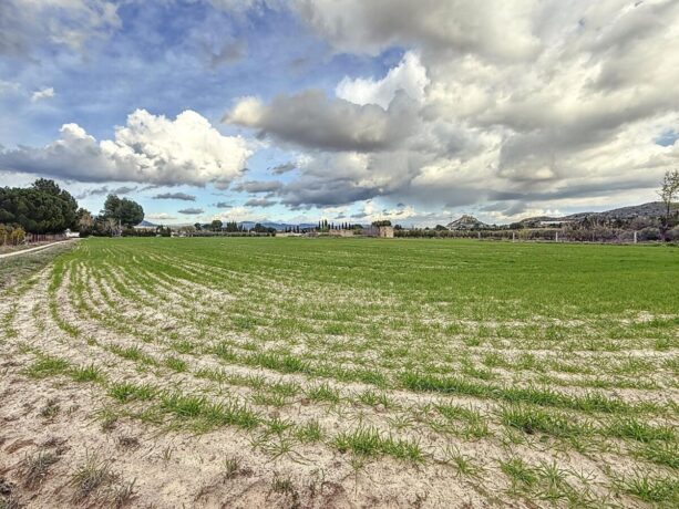 property image #4