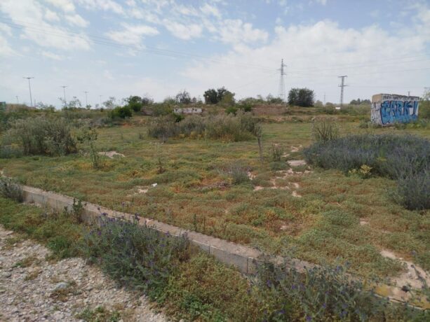 property image #4