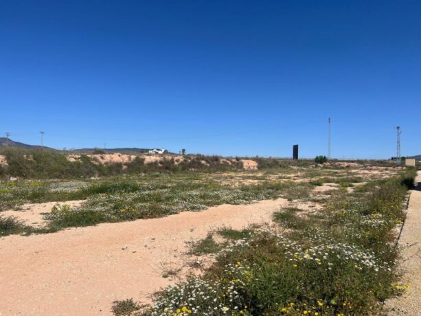 property image #3