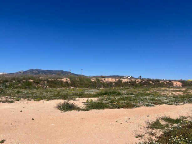 property image #4