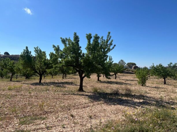 property image #1
