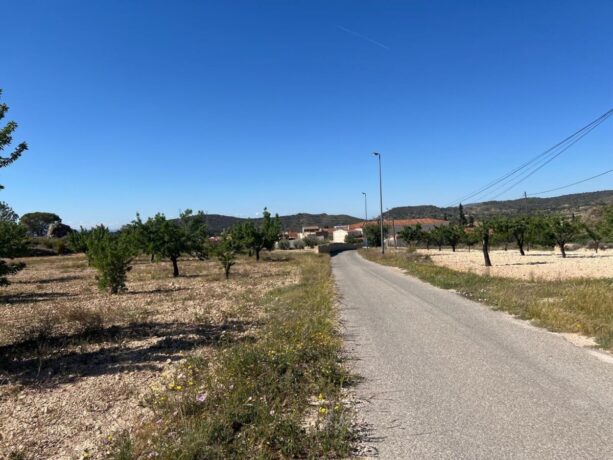 property image #2