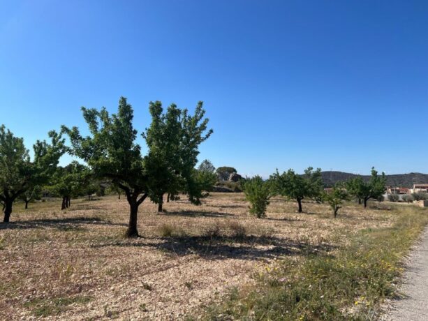 property image #3