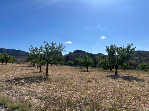 property image #4