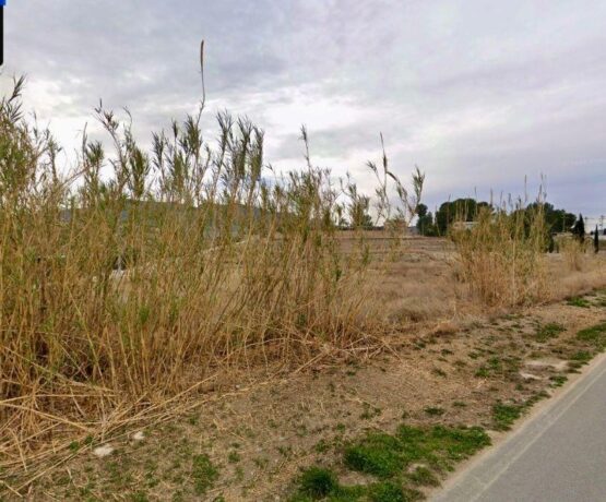 property image #4